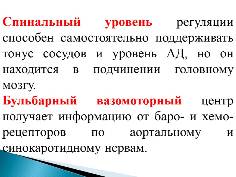 Спинальный уровень регуляции способен самостоятельно поддерживать тонус сосудов и уровень АД, но он находится